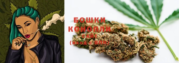 шишки Семилуки