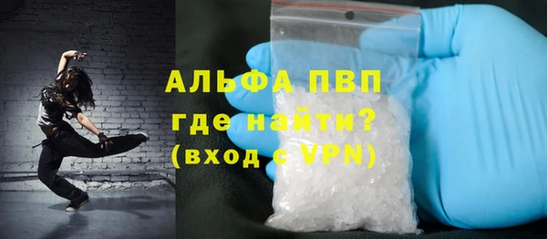 индика Абинск