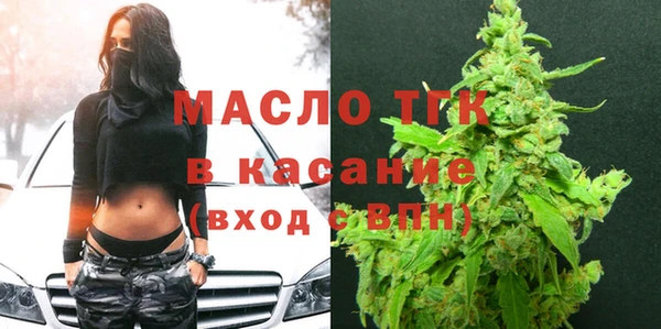 индика Абинск