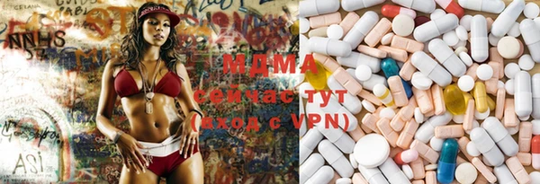 индика Абинск