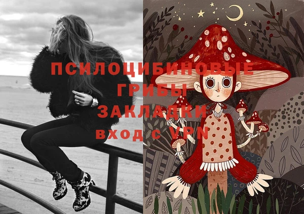 винт Алзамай