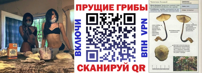наркота  blacksprut онион  Галлюциногенные грибы прущие грибы  Болгар 